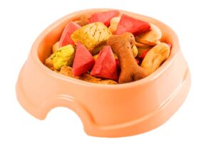 Healthy Dog Treats