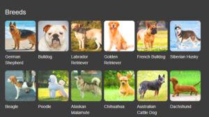 Dog Breeds