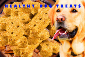 HEALTHY DOG TREATS